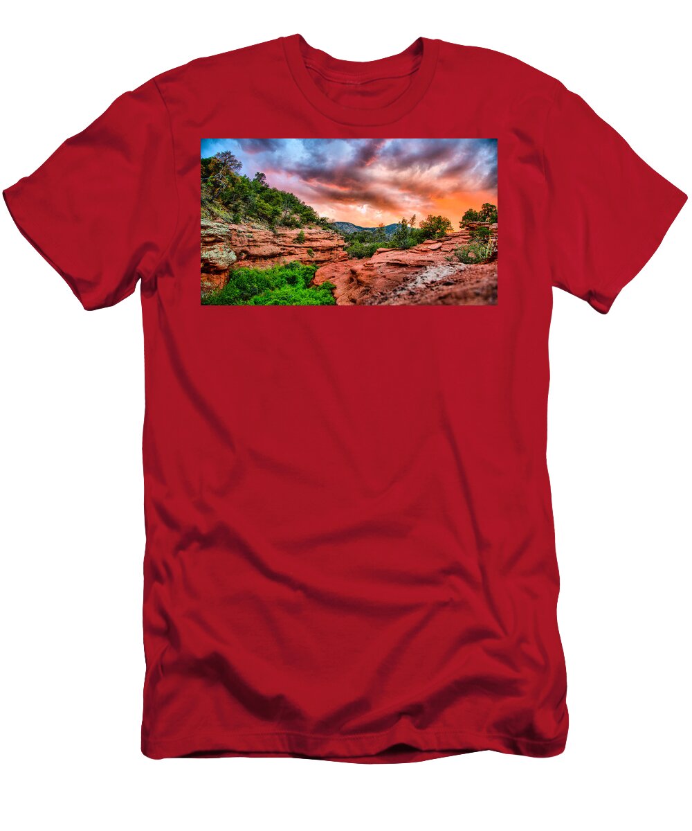 Landscape T-Shirt featuring the photograph Red Canyon by Donald J Gray