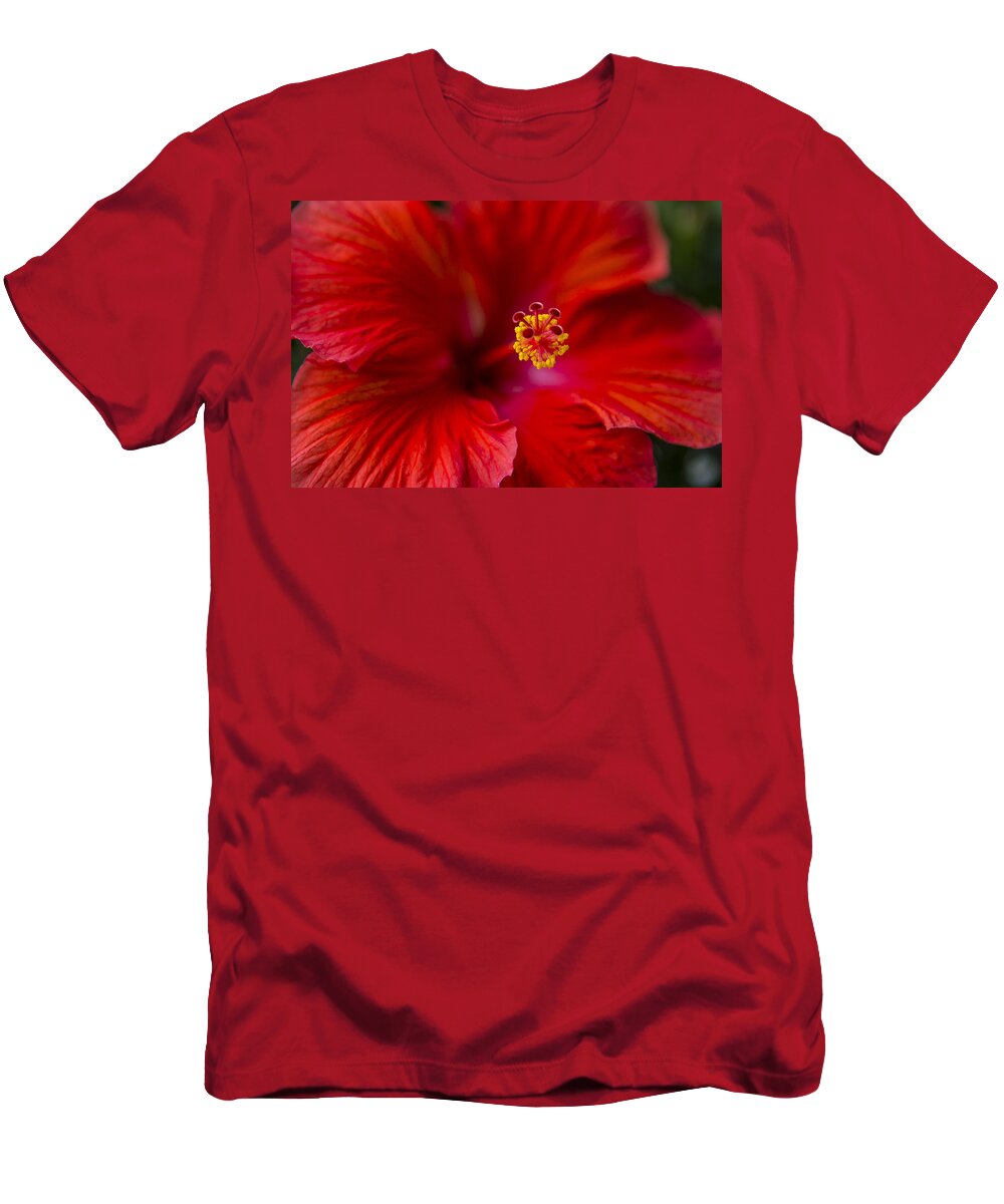 Red T-Shirt featuring the photograph Red Hibiscus by Eduard Moldoveanu