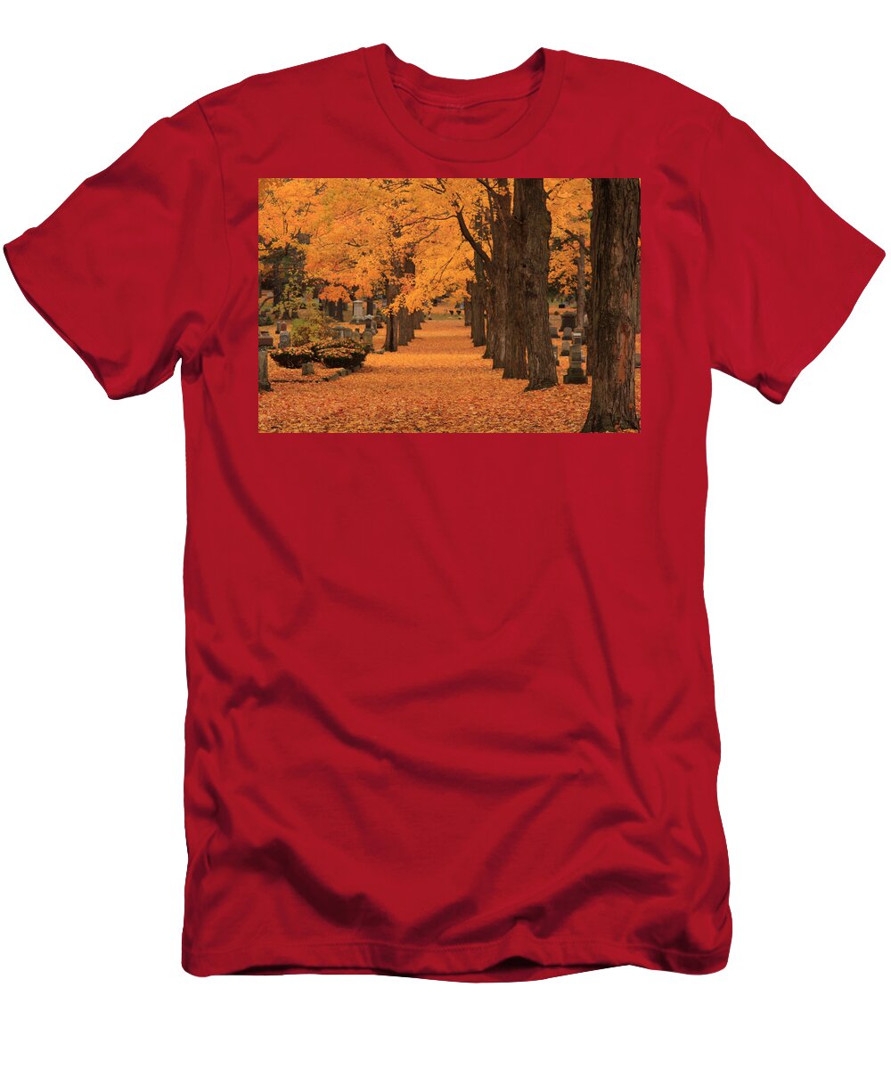 Autumn Foliage New England T-Shirt featuring the photograph Rows of Maples in orange by Jeff Folger