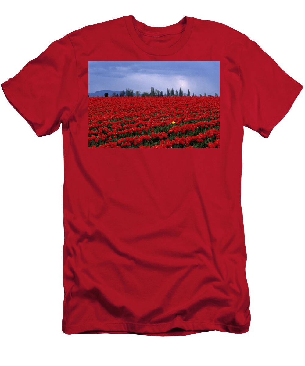 Travel T-Shirt featuring the photograph Rows of red tulips with one yellow tulip by Jim Corwin