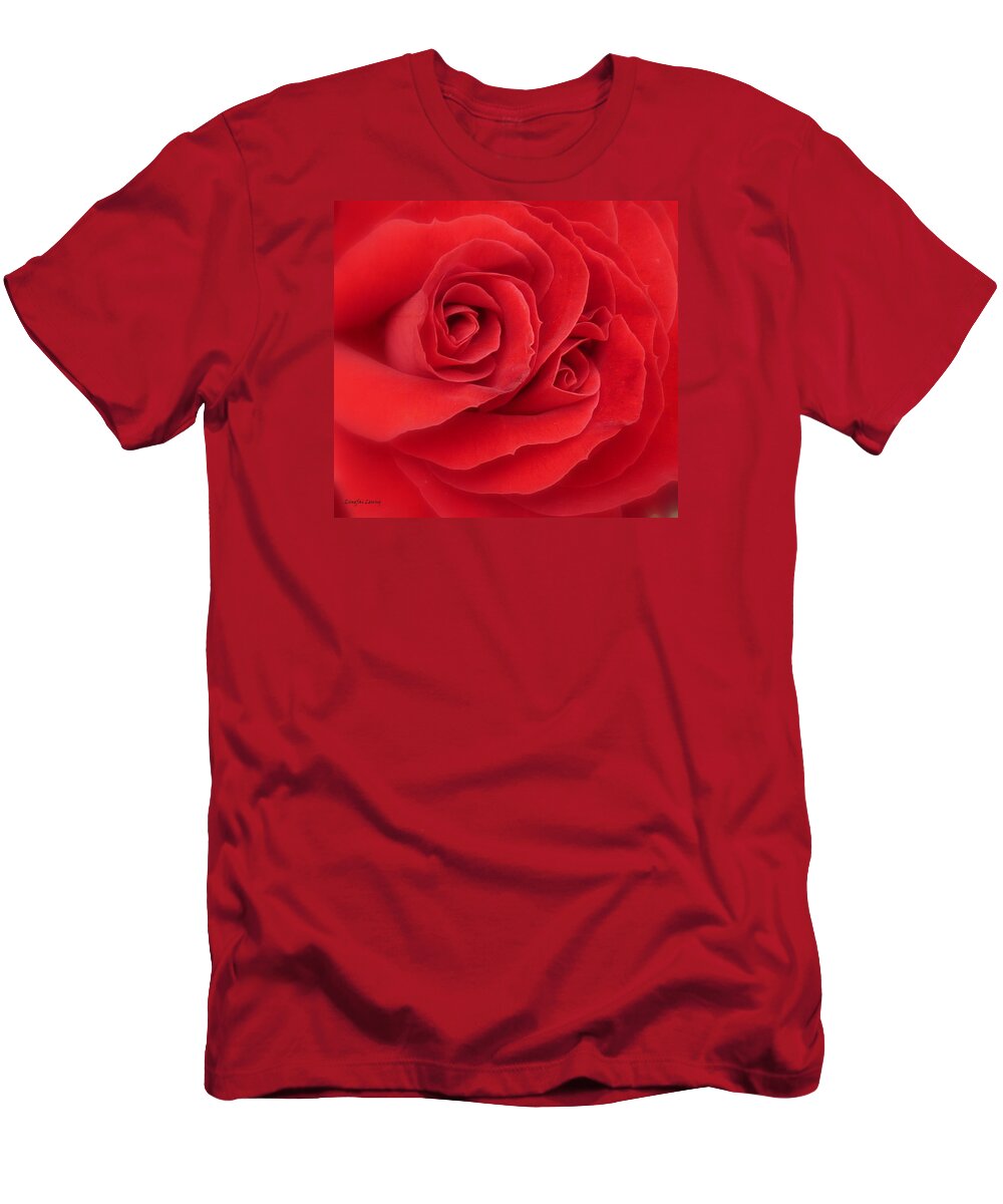 Red Rose T-Shirt featuring the photograph Someone Watch Over Me by Lingfai Leung