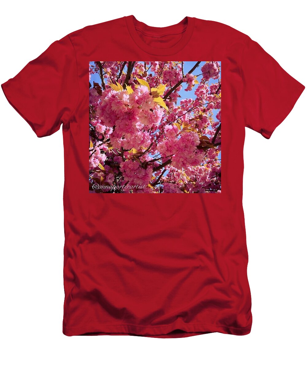 Trees T-Shirt featuring the photograph Under The Pink Flowering Dogwood by Anna Porter