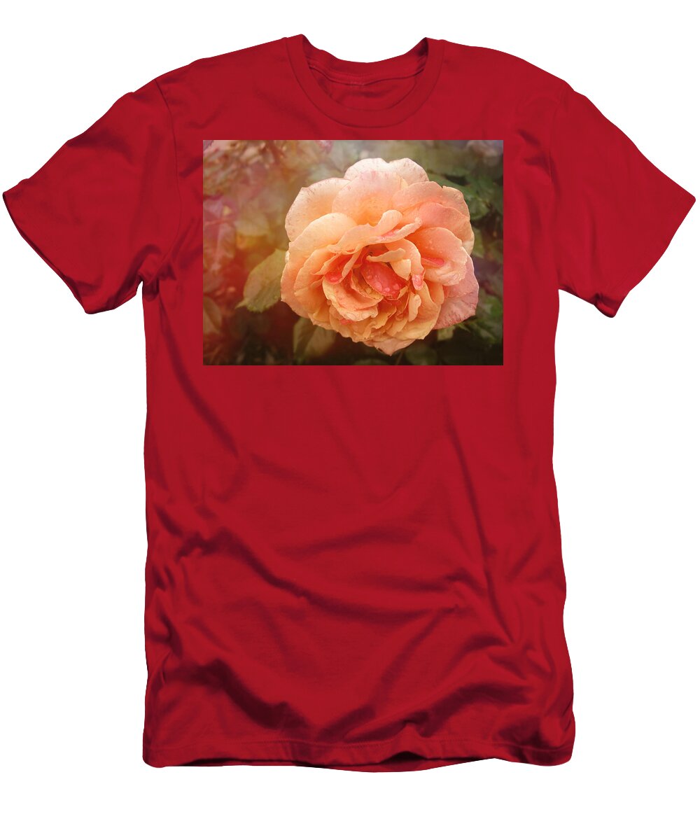 Loose Park Kcmo T-Shirt featuring the photograph Sun Kissed Rose by Stephanie Hollingsworth