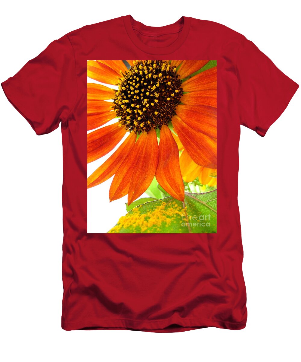 Sunflower T-Shirt featuring the photograph Sun Up by Kathy Bassett