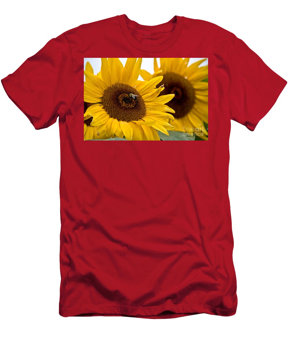  T-Shirt featuring the photograph Sunflowers and Bees by Cheryl Baxter