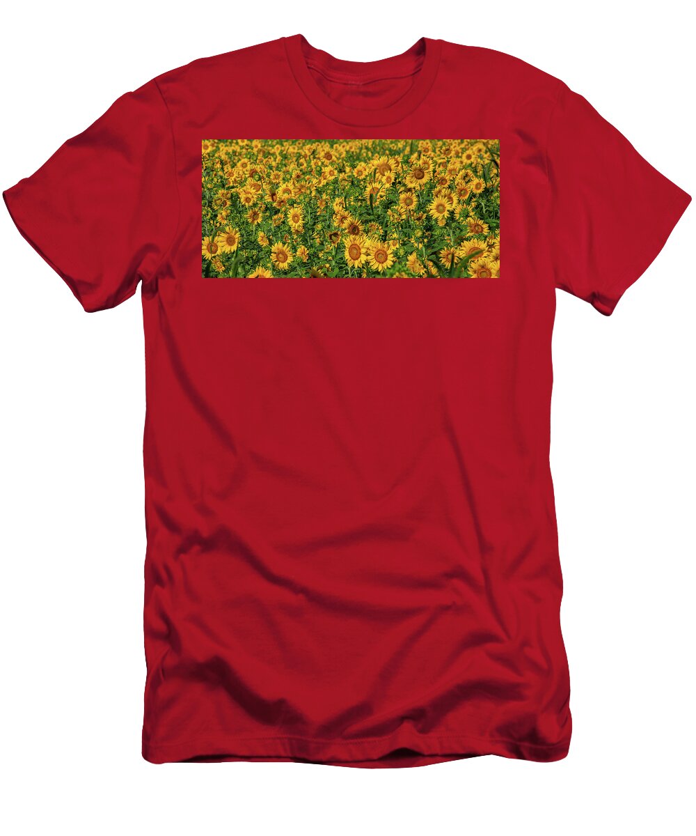 Photography T-Shirt featuring the photograph Sunflowers Helianthus Annuus Growing by Panoramic Images