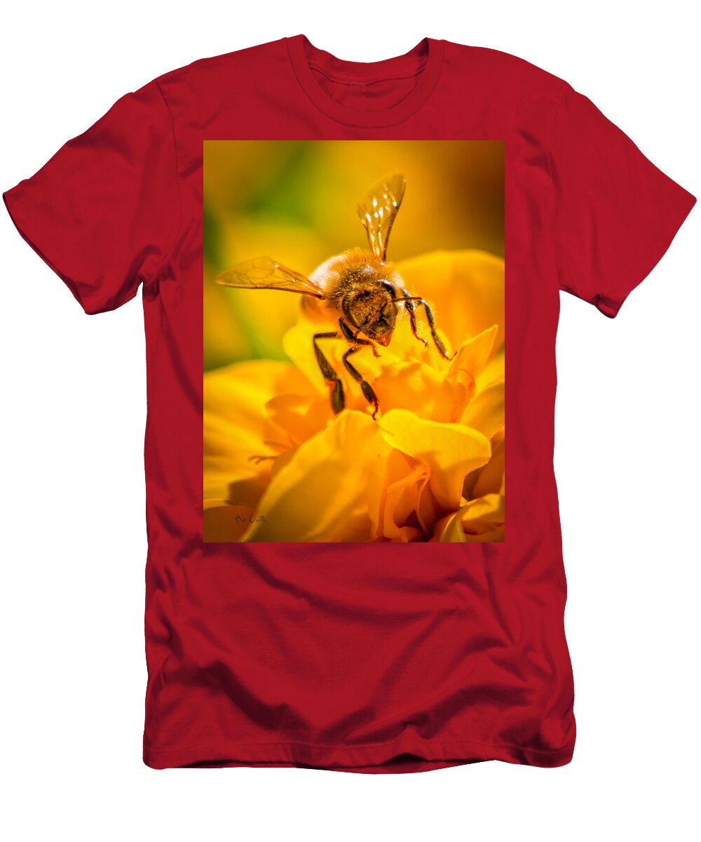 Bees T-Shirt featuring the photograph The Bee gets its pollen by Bob Orsillo