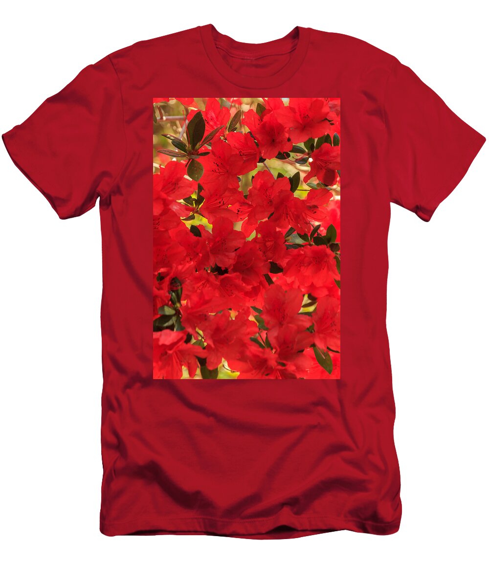 Flower T-Shirt featuring the photograph Vibrant Azalea by Patricia Schaefer