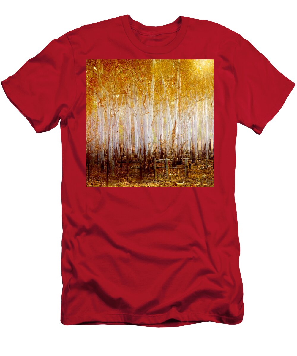 Landscapes T-Shirt featuring the photograph Where the Sun Shines by Holly Kempe