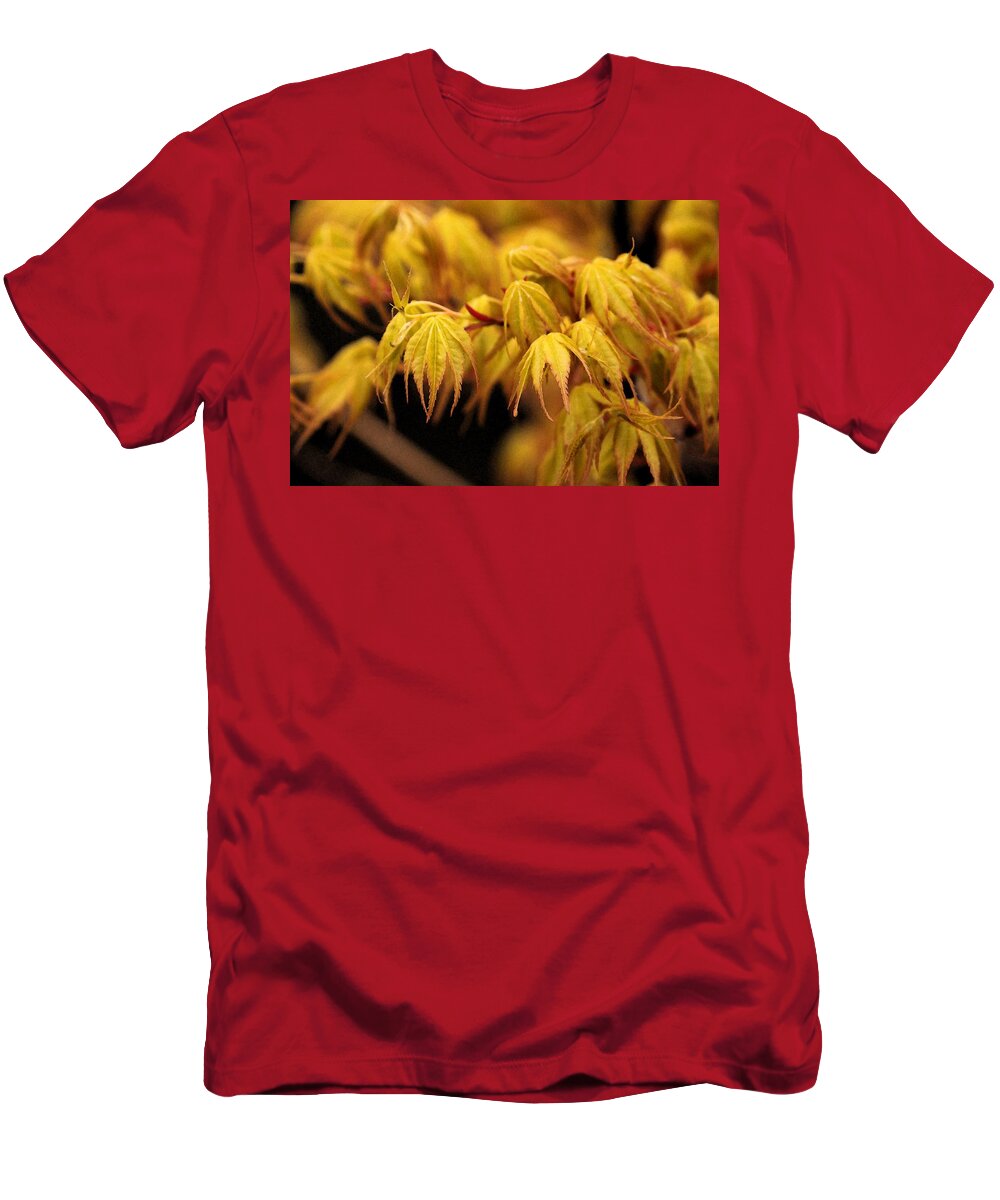 Woods T-Shirt featuring the photograph Woodland Awakening by Carolyn Jacob