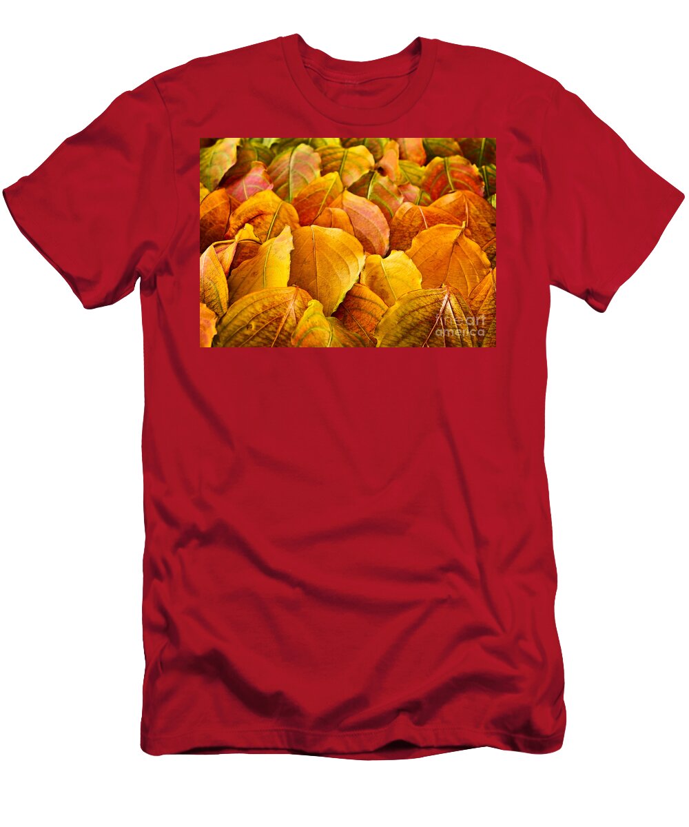 Leaves T-Shirt featuring the photograph Autumn leaves by Elena Elisseeva