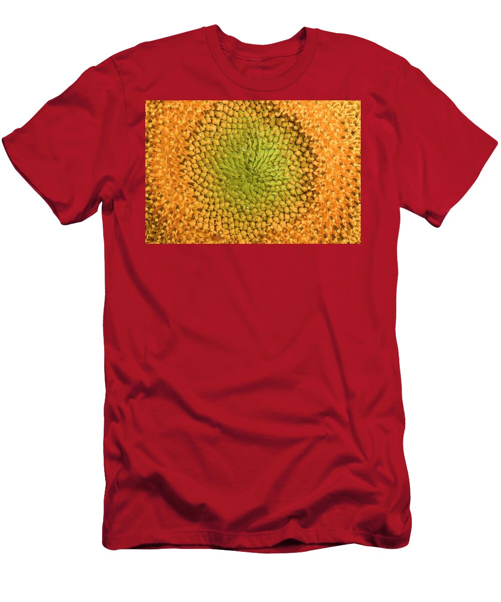 Mp T-Shirt featuring the photograph Common Sunflower Helianthus Annuus #1 by Cyril Ruoso
