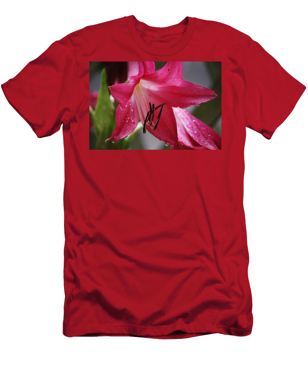 Flower T-Shirt featuring the photograph After the Rain by Judy Hall-Folde