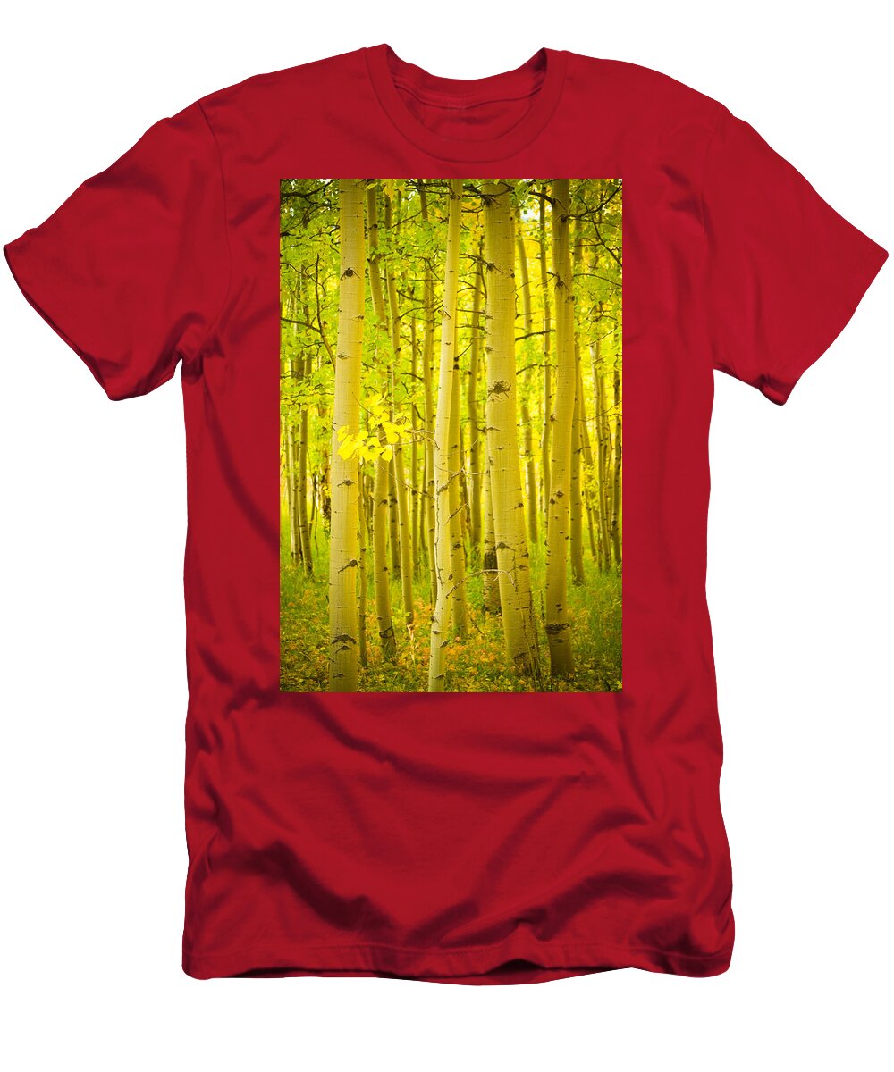 Autumn T-Shirt featuring the photograph Autumn Aspens Vertical Image by James BO Insogna