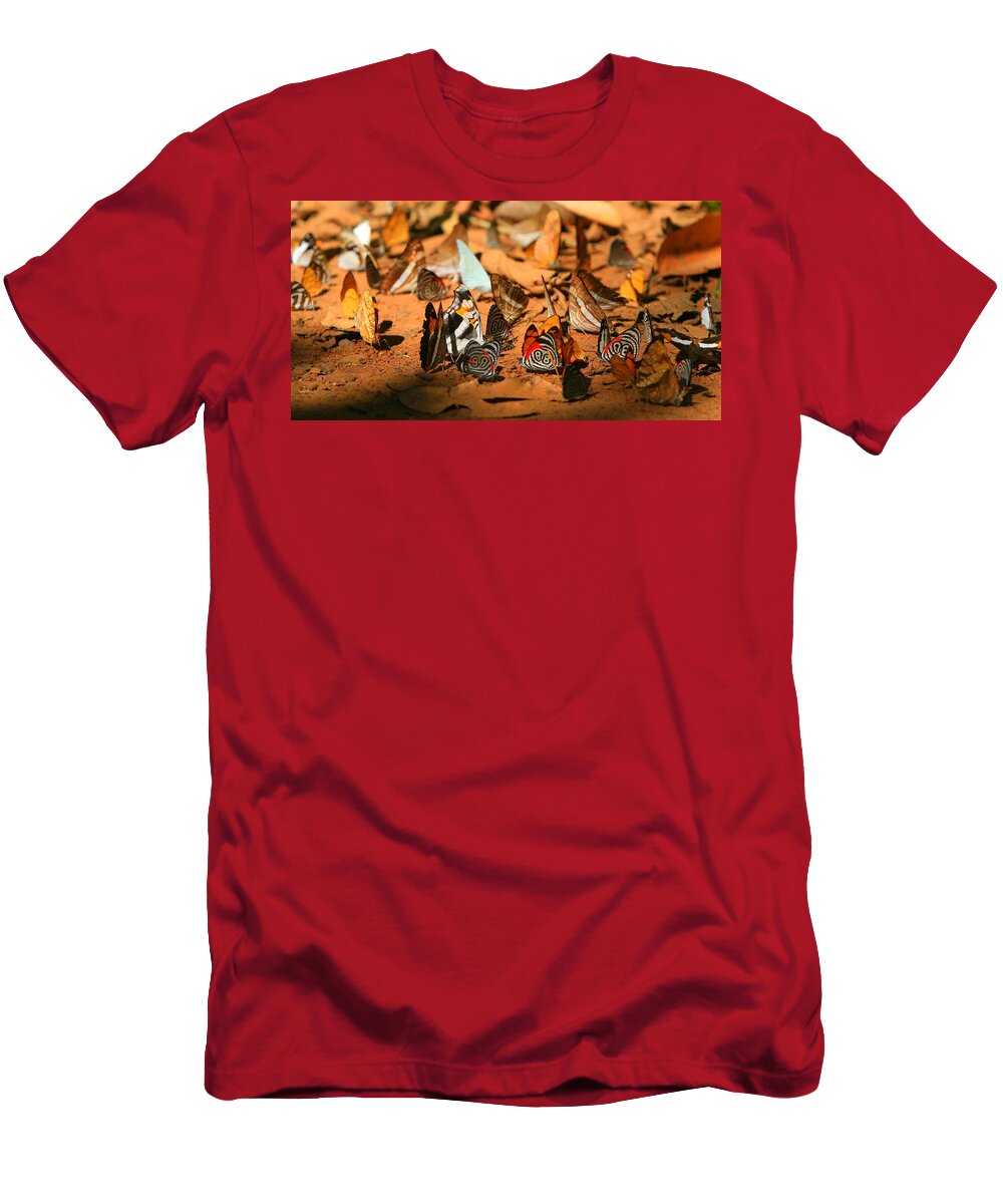 Butterfly T-Shirt featuring the photograph Butterfly Menagerie by Bruce J Robinson