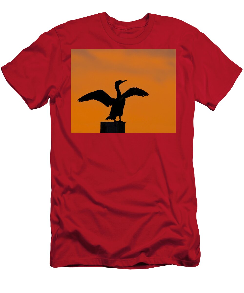 Double-crested Cormorant T-Shirt featuring the photograph Dawn of a Double-crested Cormorant by Tony Beck