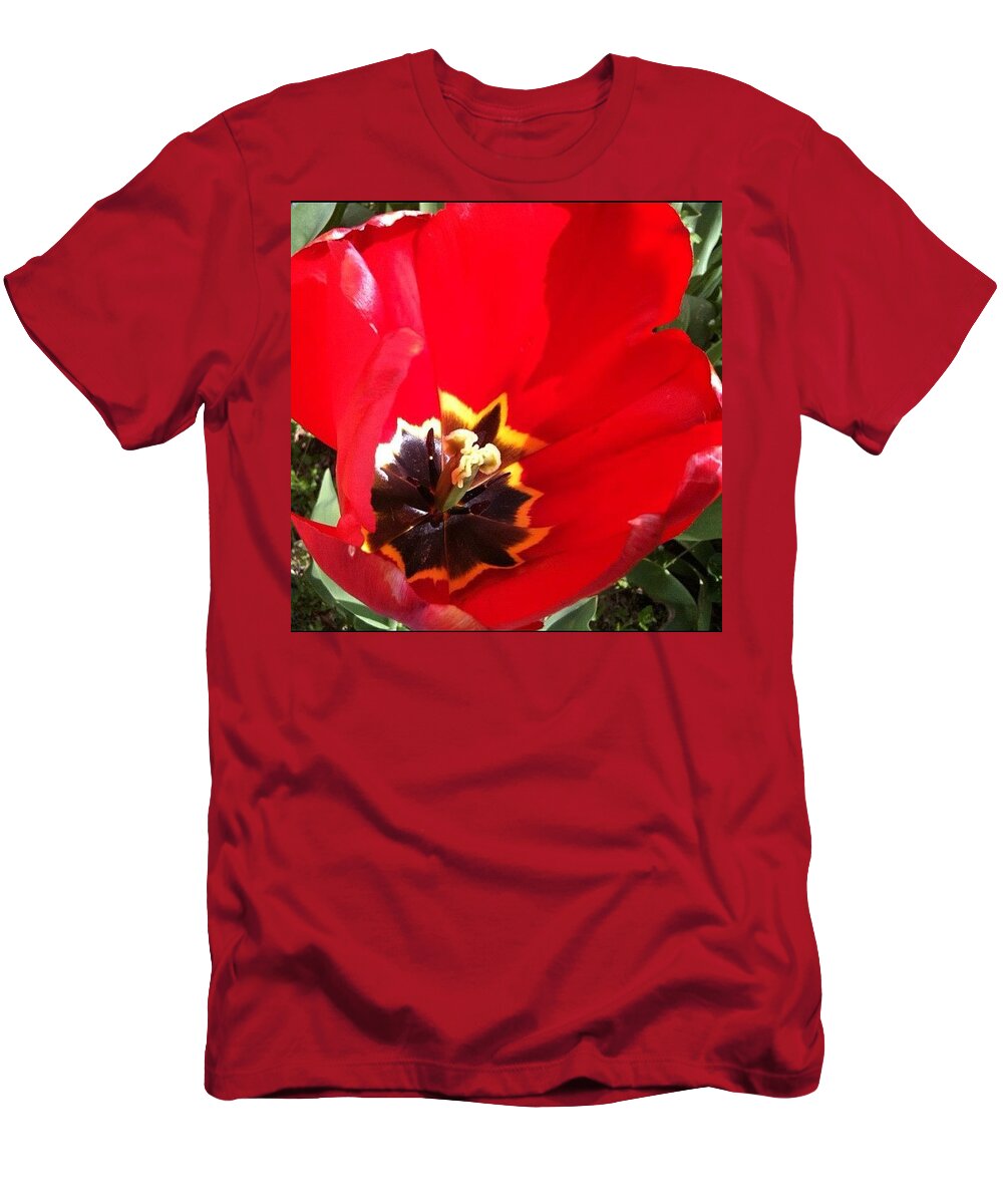 Redthursday T-Shirt featuring the photograph Dex Tulips #allshots_may12_red by Anna Porter
