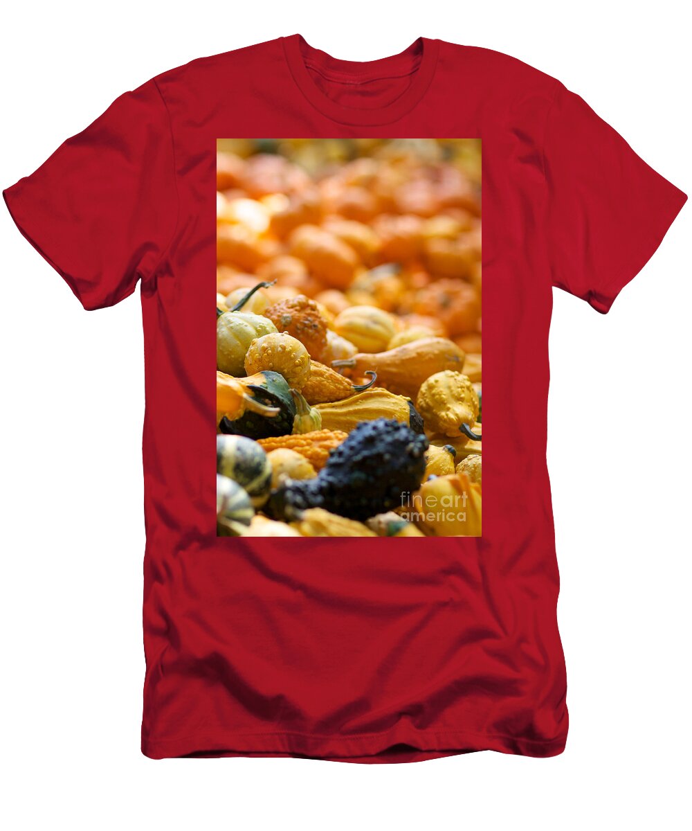 Fall Squash T-Shirt featuring the photograph Fall Squash Variety by Brooke Roby