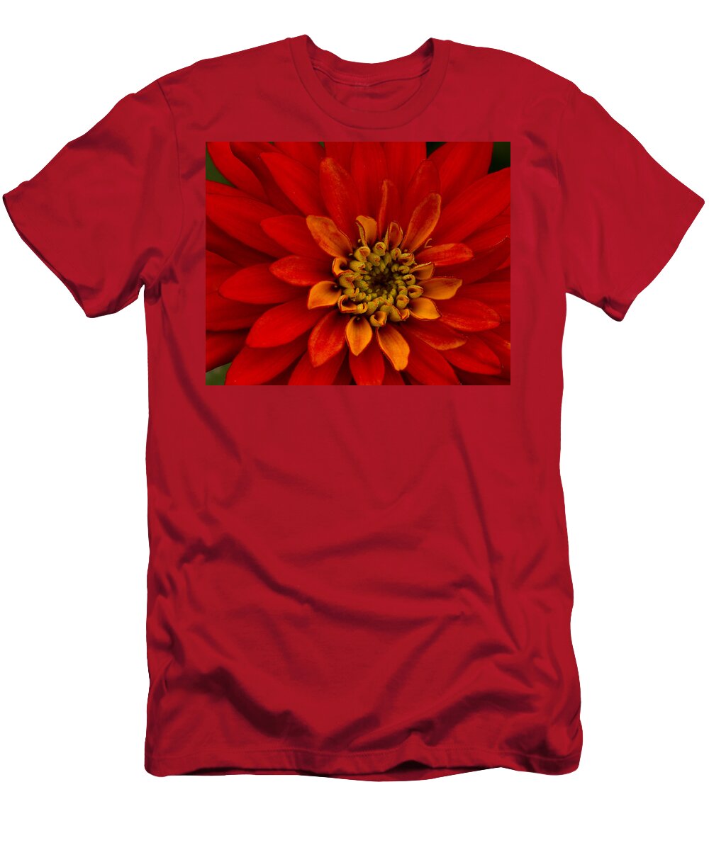 Flower T-Shirt featuring the photograph Firecracker by Carrie Cranwill