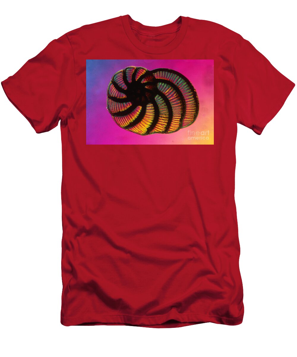 Shell T-Shirt featuring the photograph Foraminifer by Eric V. Grave