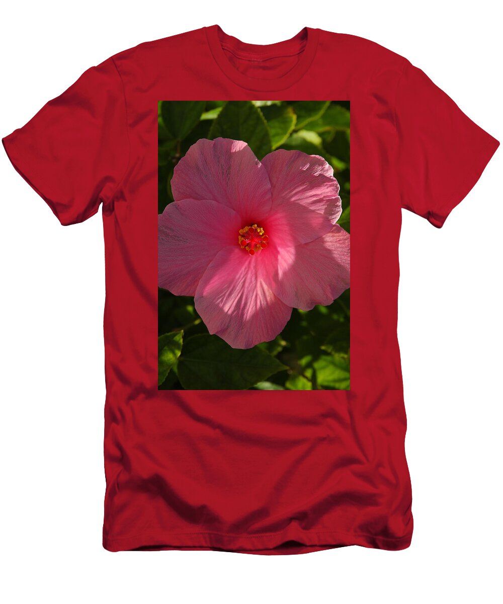 Hibiscus T-Shirt featuring the photograph Hibiscus by David Weeks