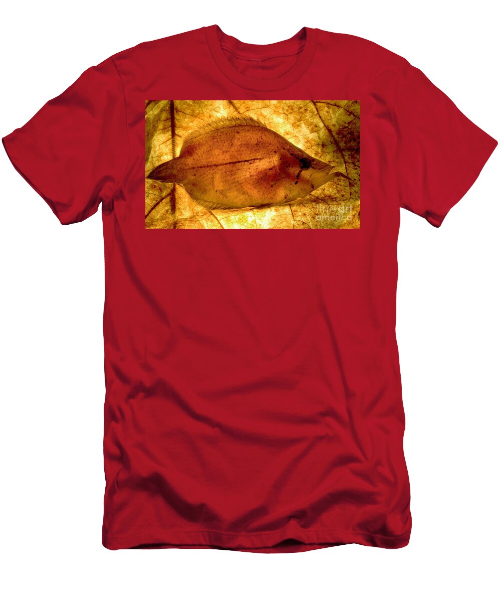Amazon Leaf Fish T-Shirt featuring the photograph Leaf Fish by Dant Fenolio