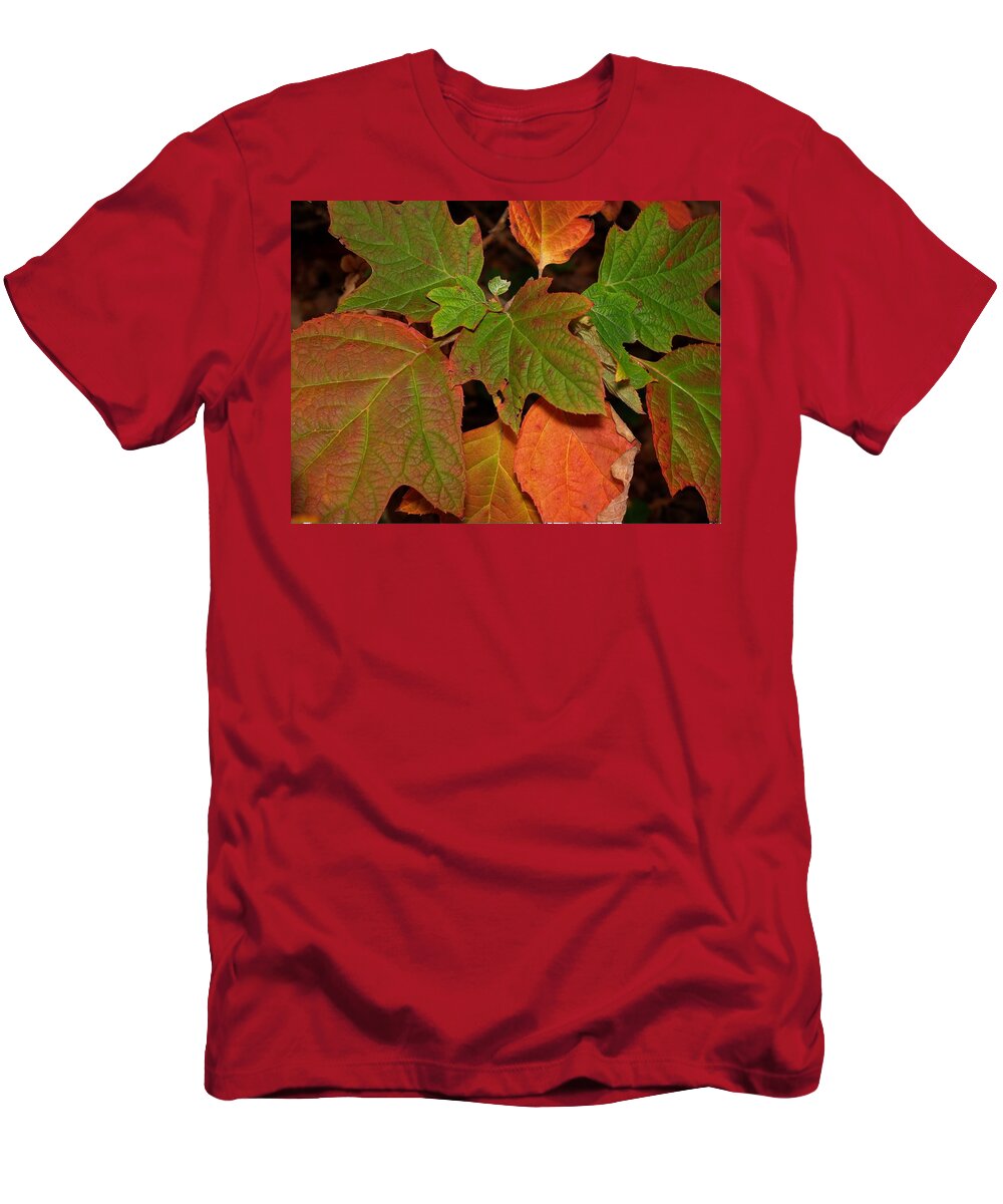 Autumn T-Shirt featuring the photograph Oakleaf Hydrangea-1 by Charles Hite