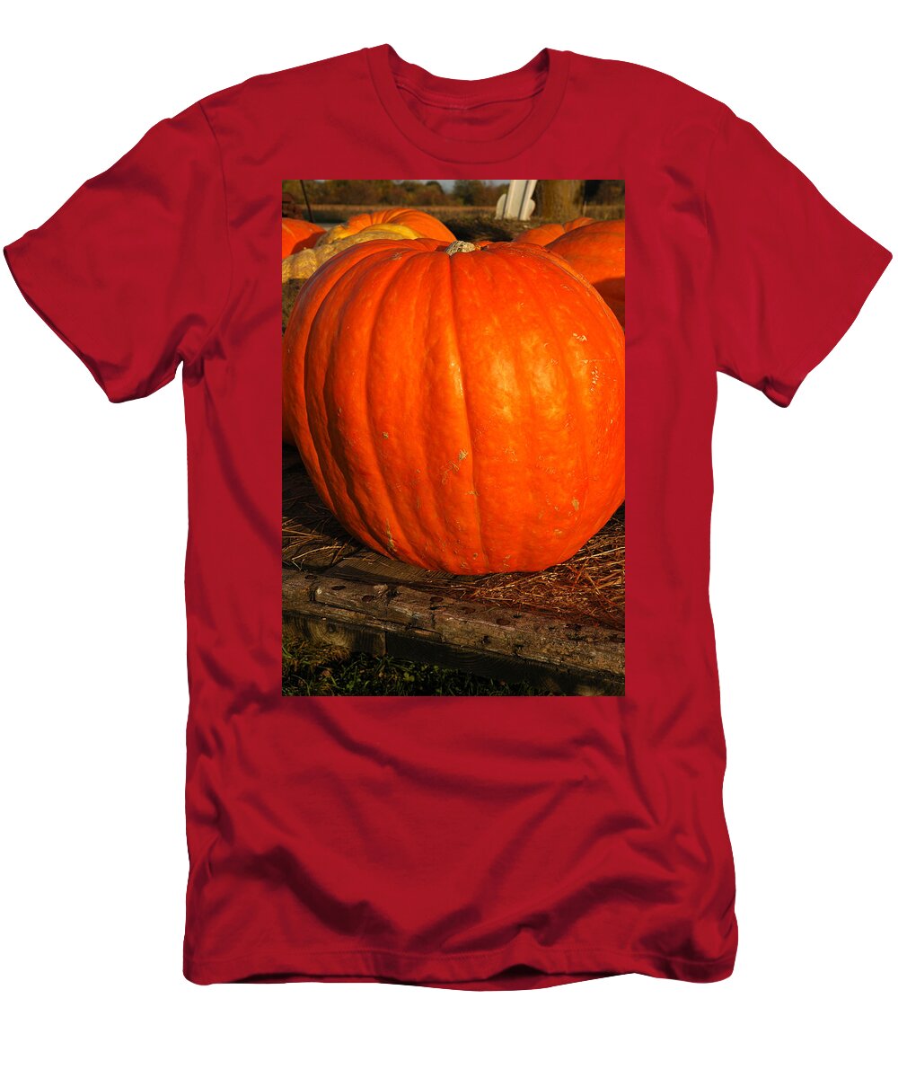 Food And Beverage T-Shirt featuring the photograph Largest Pumpkin by LeeAnn McLaneGoetz McLaneGoetzStudioLLCcom