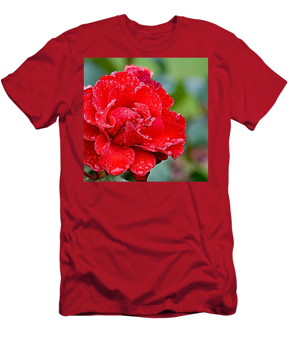 Rose T-Shirt featuring the photograph Rose in the rain by Mike Santis