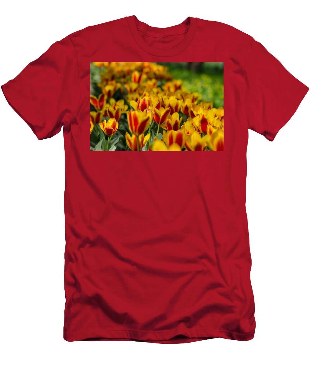 Spring T-Shirt featuring the photograph Spring mood by Michael Goyberg