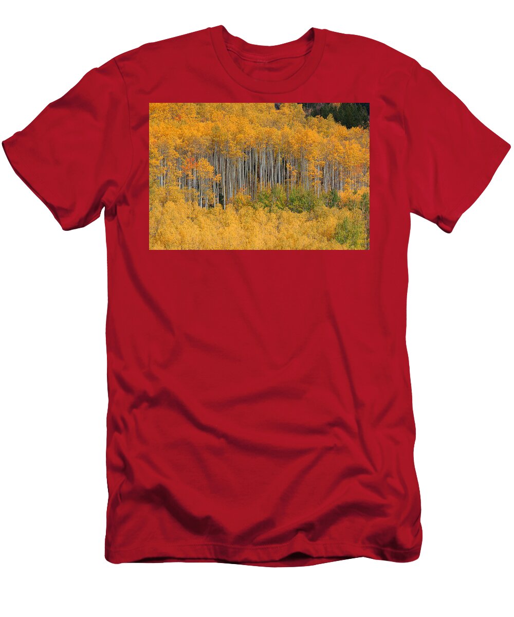 Autumn Colors T-Shirt featuring the photograph Sticks by Jim Garrison