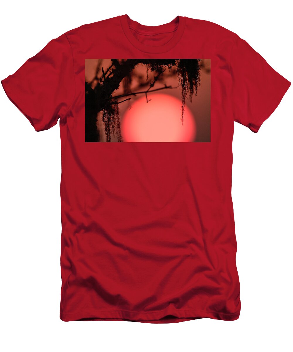 Africa T-Shirt featuring the photograph Sundangle by Alistair Lyne