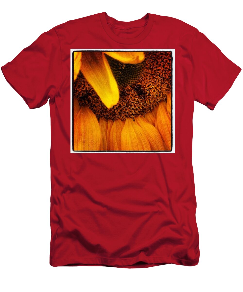 T-Shirt featuring the photograph Sunflower by Lorelle Phoenix
