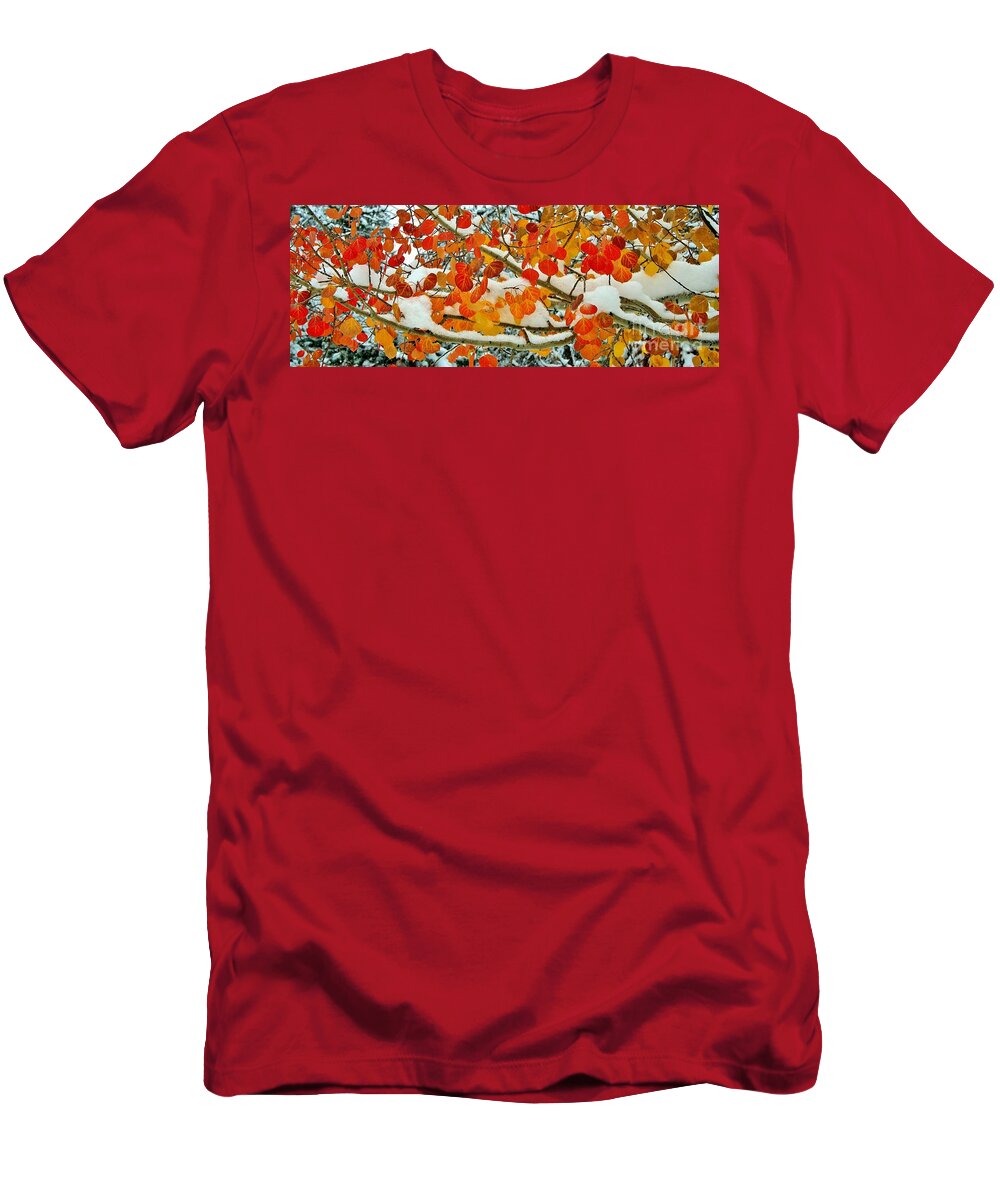 Fall T-Shirt featuring the photograph Transitions by Ellen Heaverlo
