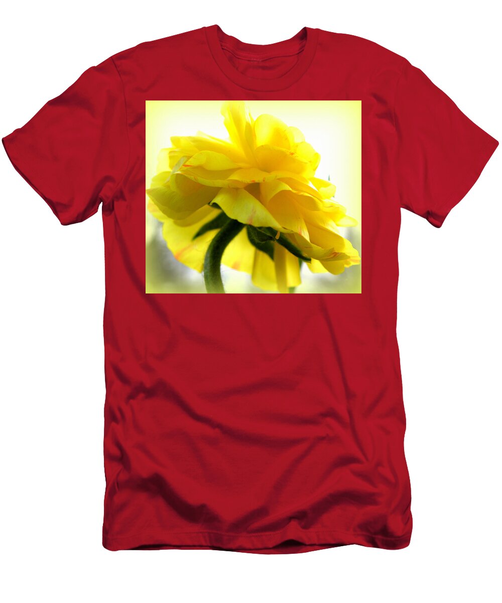 Ranunculus T-Shirt featuring the photograph Yellow Glow In The Sun by Kim Galluzzo Wozniak