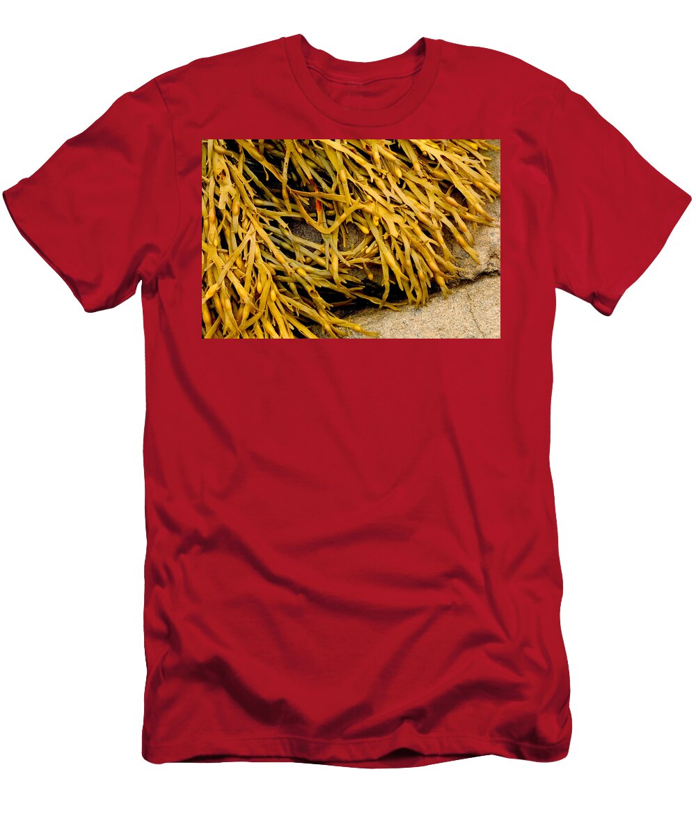 Kelp T-Shirt featuring the photograph Yellow Kelp by Brent L Ander