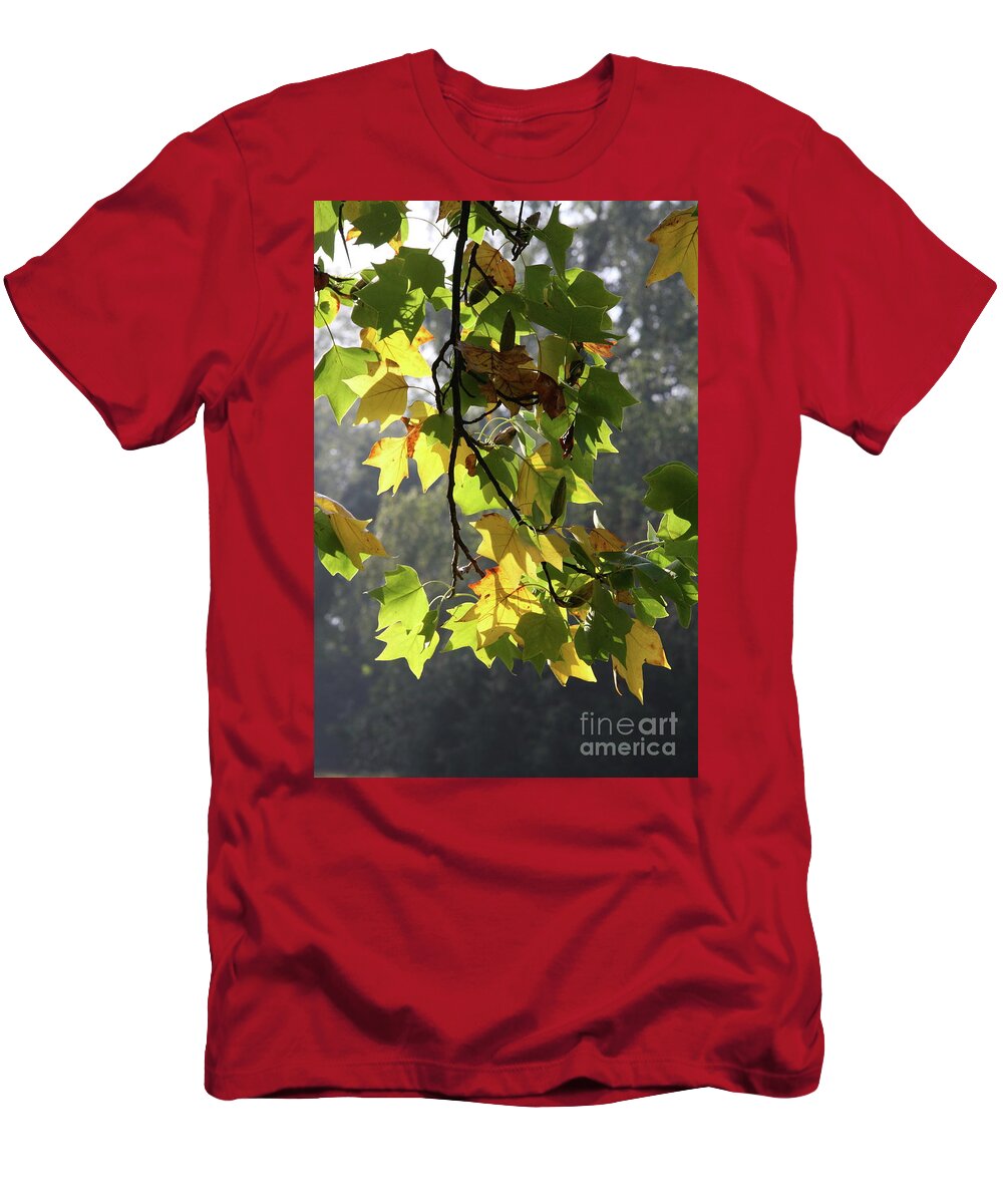 Autumn T-Shirt featuring the photograph Autumn Colors #1 by Christiane Schulze Art And Photography