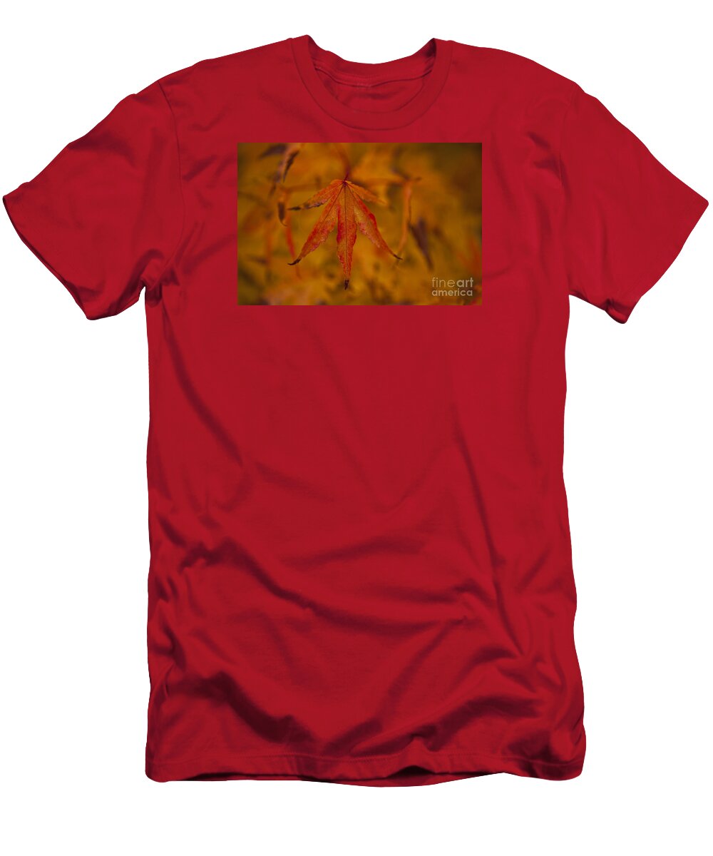 Pacific Northwest T-Shirt featuring the photograph Autumn Colors #1 by Jim Corwin