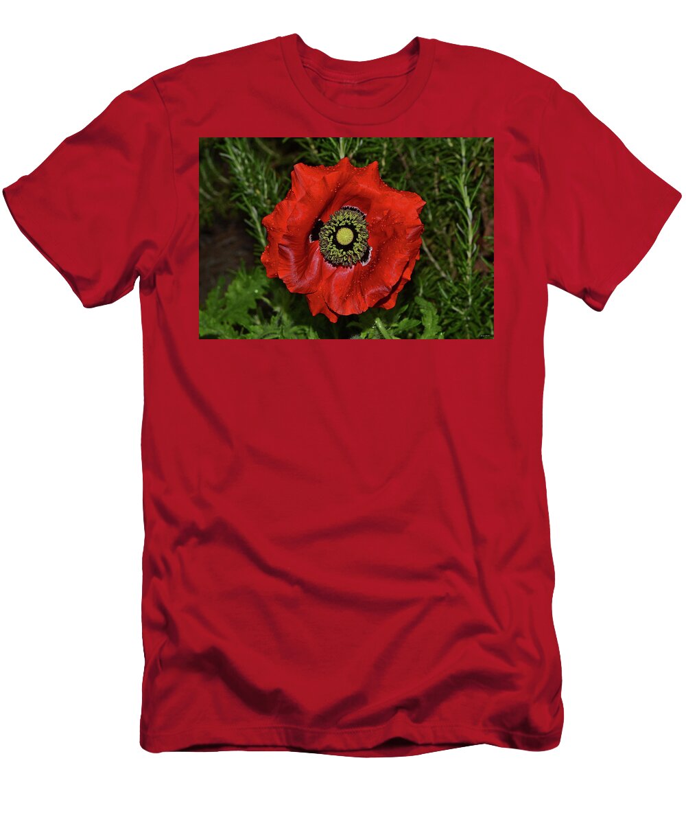 Poppy T-Shirt featuring the photograph Centerpiece - Red Poppy 010 #1 by George Bostian