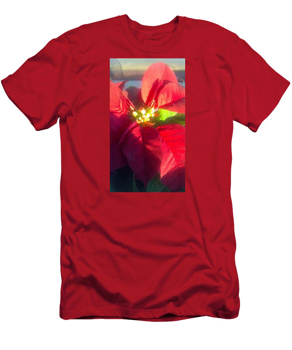 Poinsettia T-Shirt featuring the photograph Christmas Flower #1 by Brenda Winters