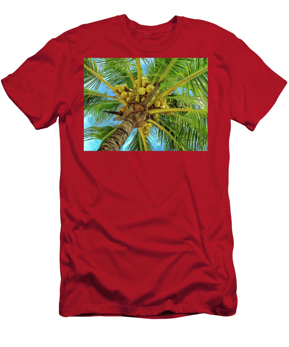 Coconuts T-Shirt featuring the photograph Coconuts in Tree #1 by Bill Barber