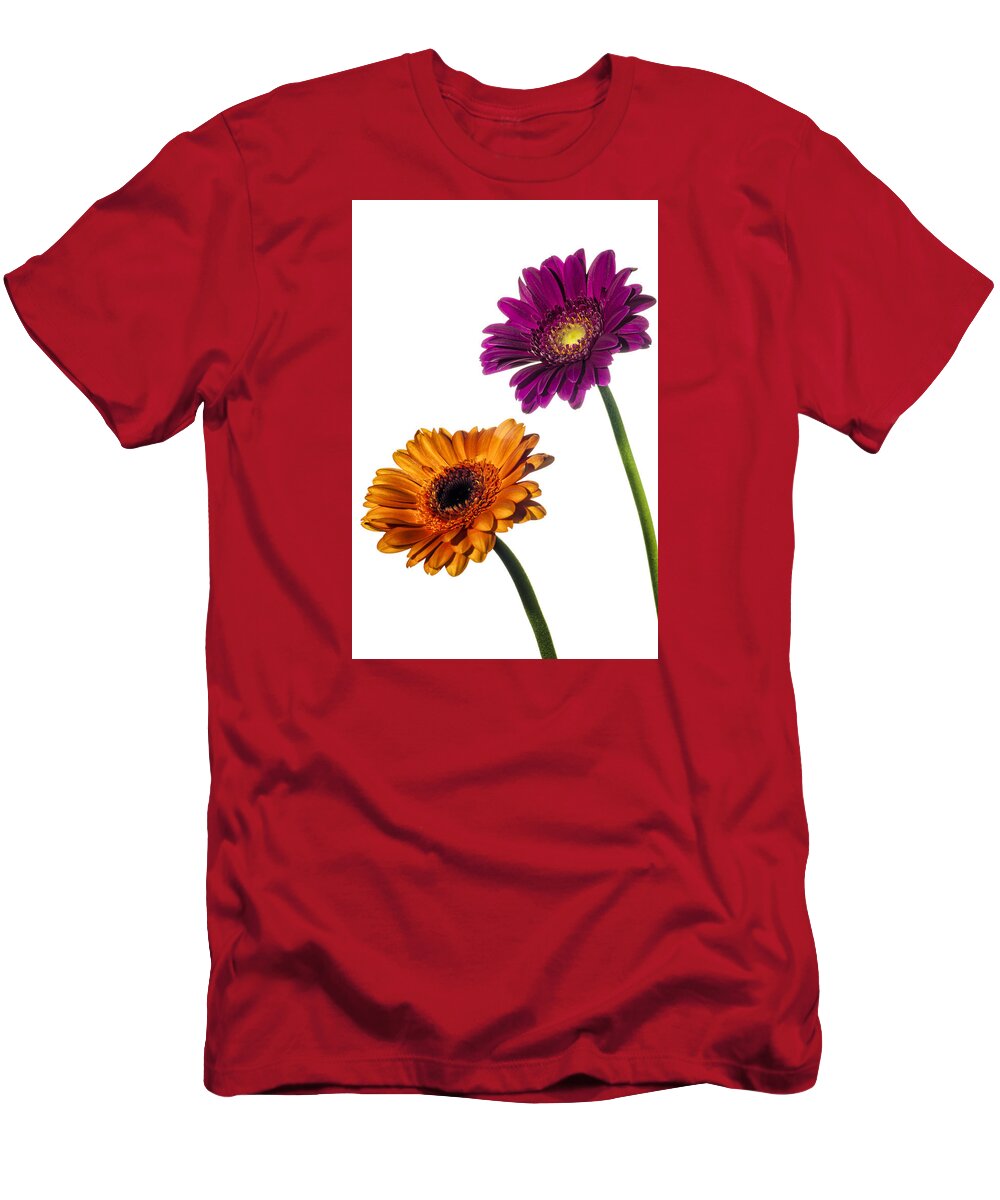 Flower T-Shirt featuring the photograph Orange and Pink Gerberas on White #1 by John Paul Cullen