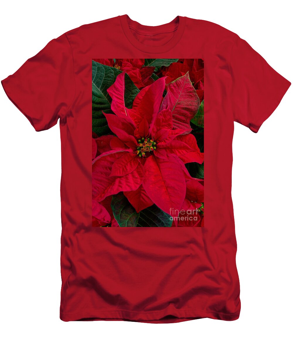 Biological T-Shirt featuring the photograph Poinsettia Plant #1 by Kenneth M. Highfill