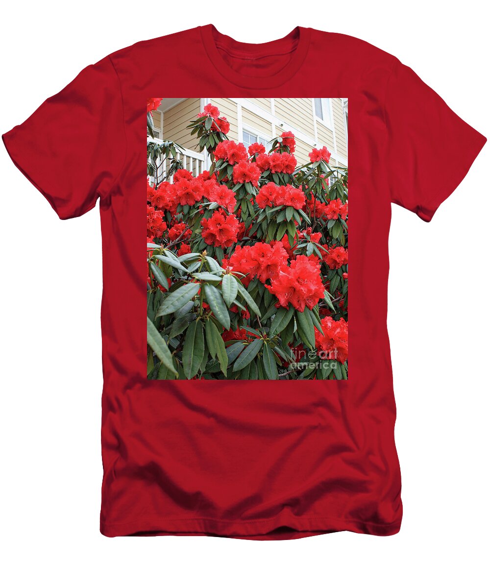 Rhododendron T-Shirt featuring the photograph Ruby Red Rhododendron #1 by Carol Groenen