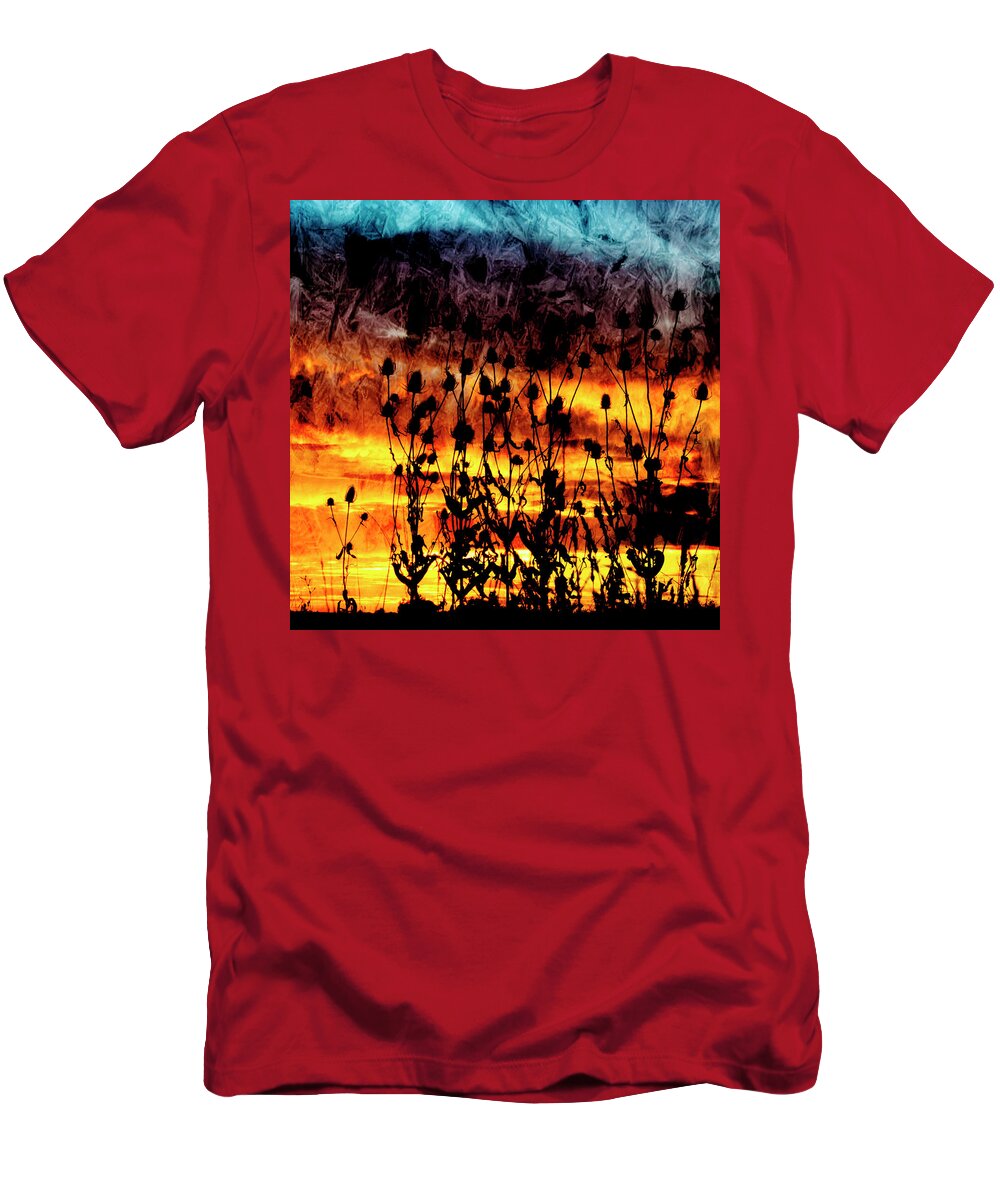 Duras T-Shirt featuring the photograph Teasel Silhouette at Sunset. #1 by John Paul Cullen