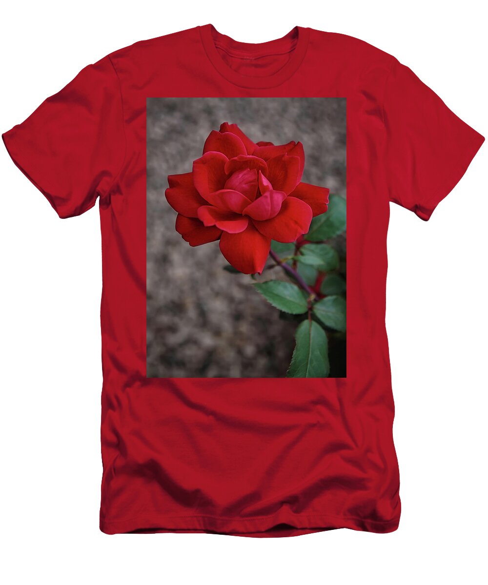 Rose T-Shirt featuring the photograph The Rose #1 by Ernest Echols