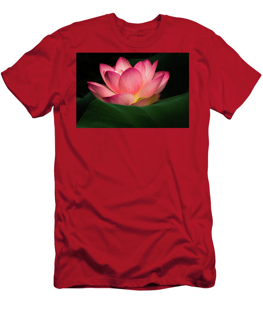 Jay Stockhaus T-Shirt featuring the photograph Water Lily #4 by Jay Stockhaus