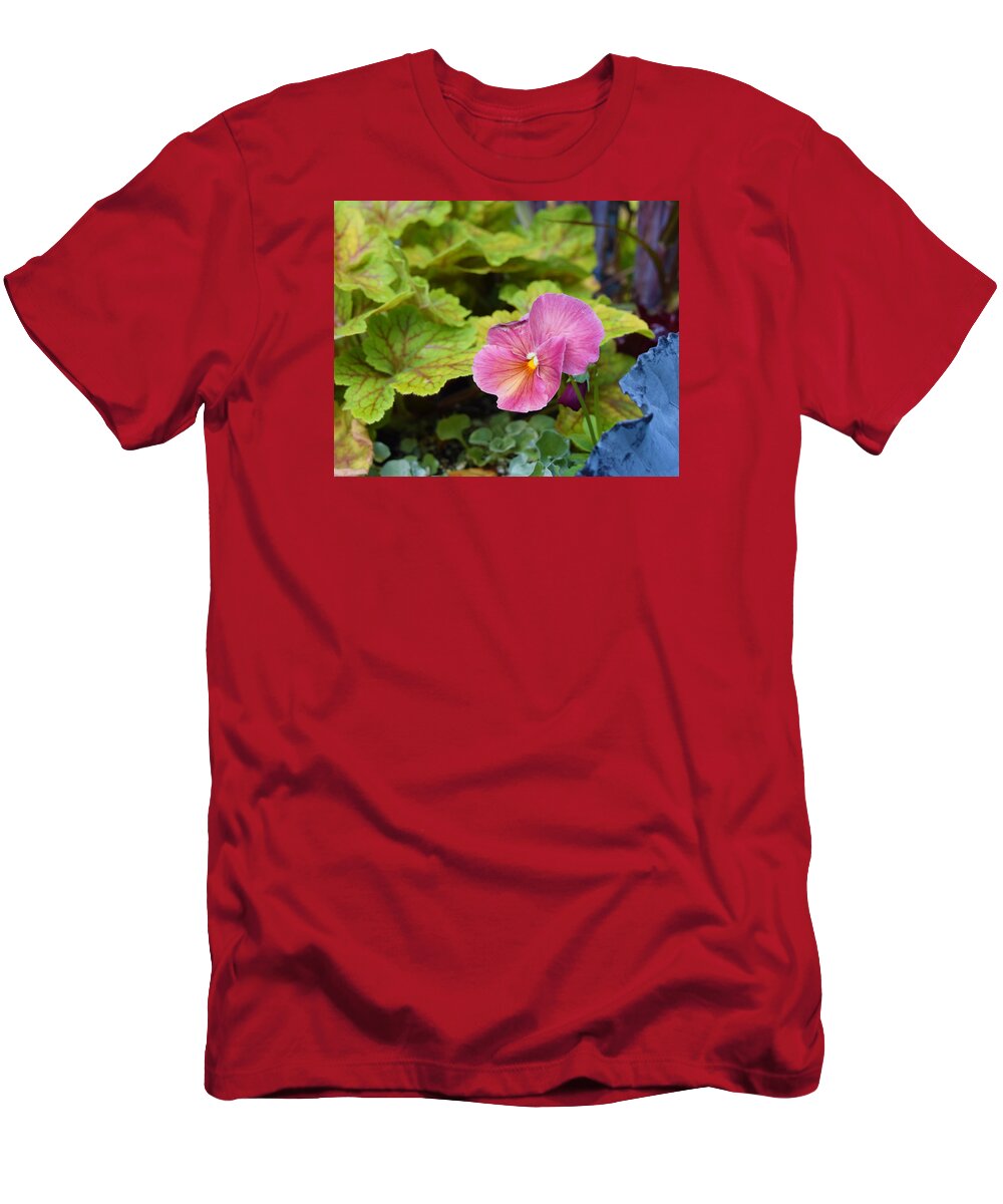 Pansies T-Shirt featuring the photograph 2015 After the Frost at the Garden Pansies 3 by Janis Senungetuk