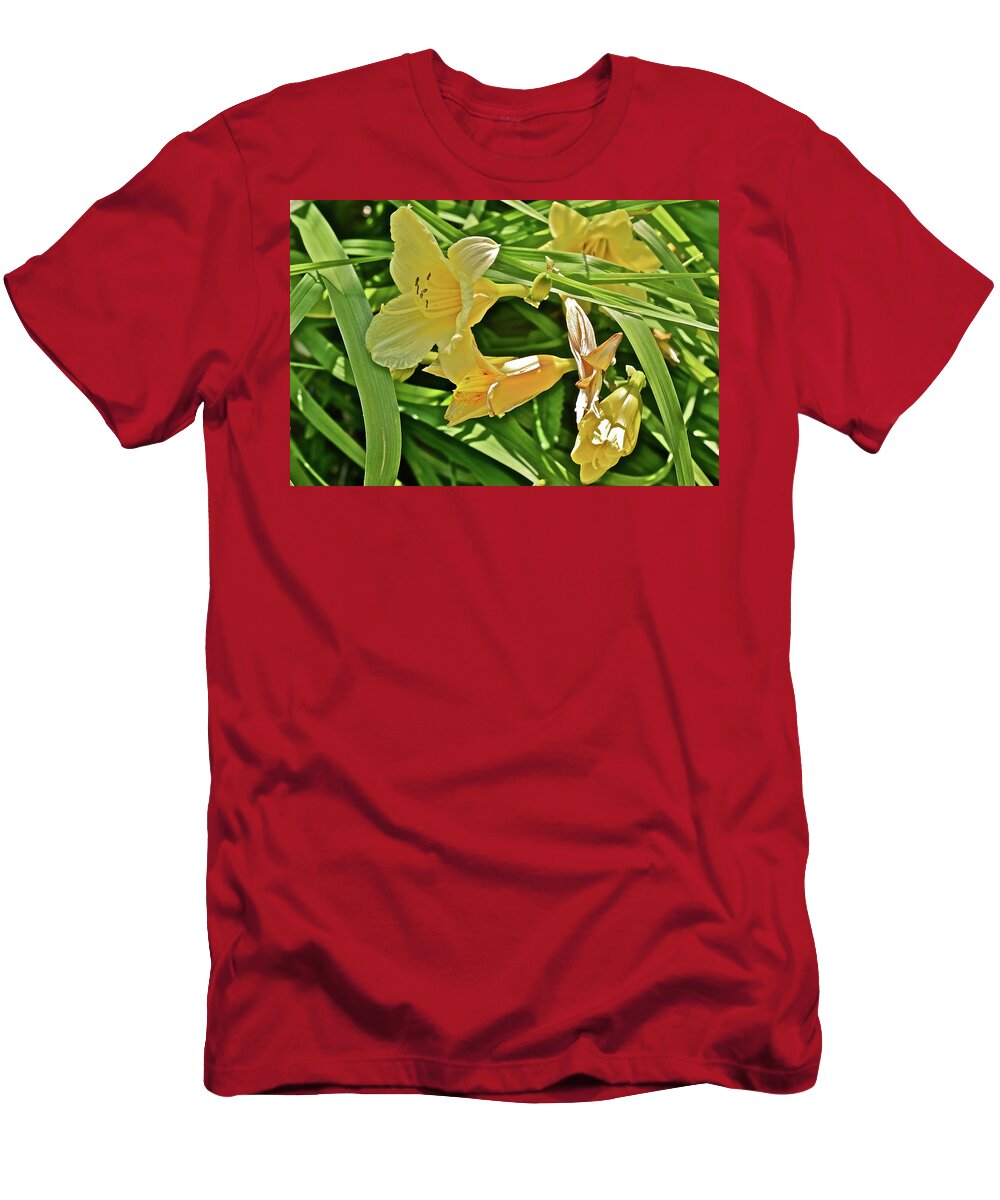 Daylily T-Shirt featuring the photograph 2017 End of June at the Gardens Happy Returns Daylily 1 by Janis Senungetuk