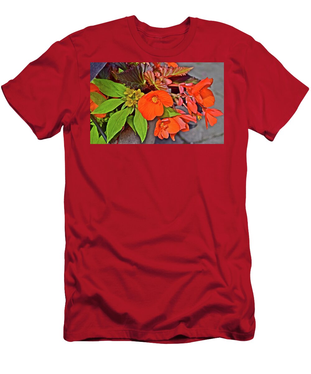 Begonias T-Shirt featuring the photograph 2017 Mid June at the Gardens Container Plants by Janis Senungetuk